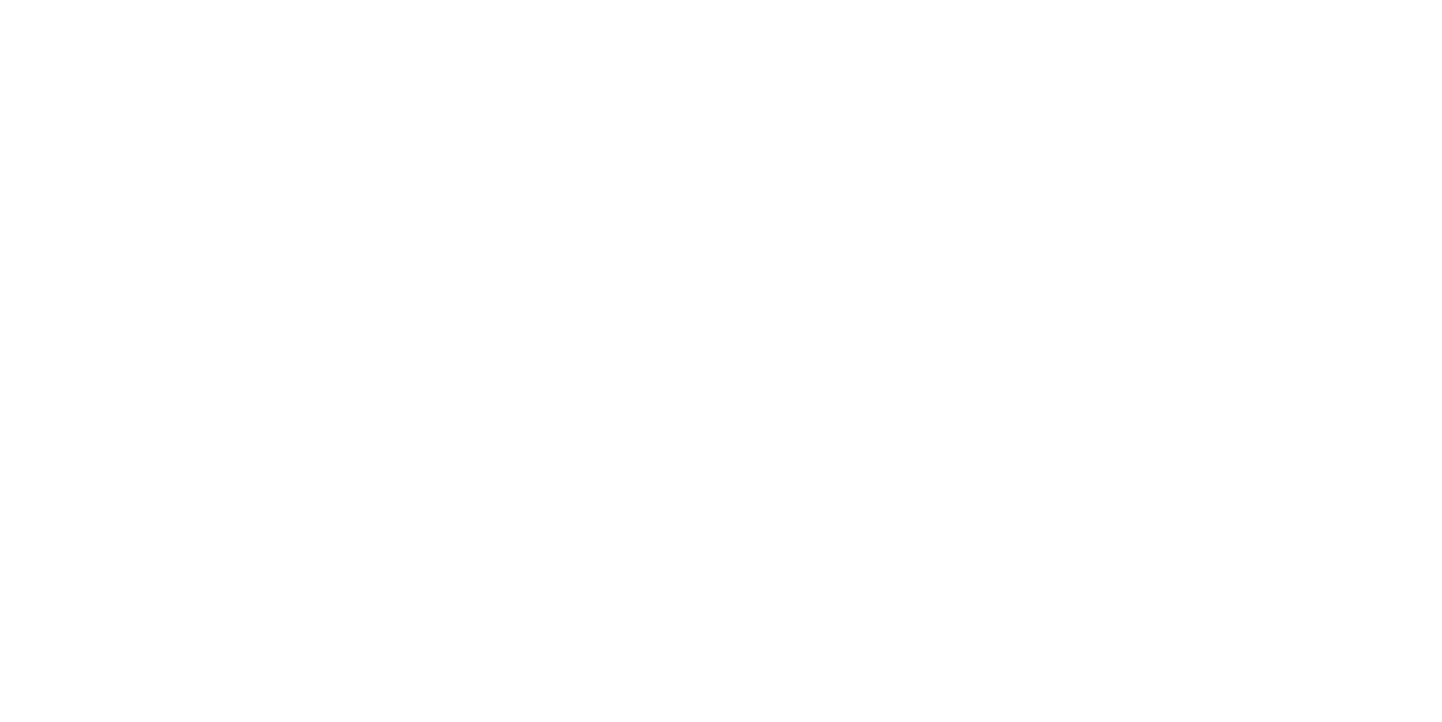 aila ascii logo