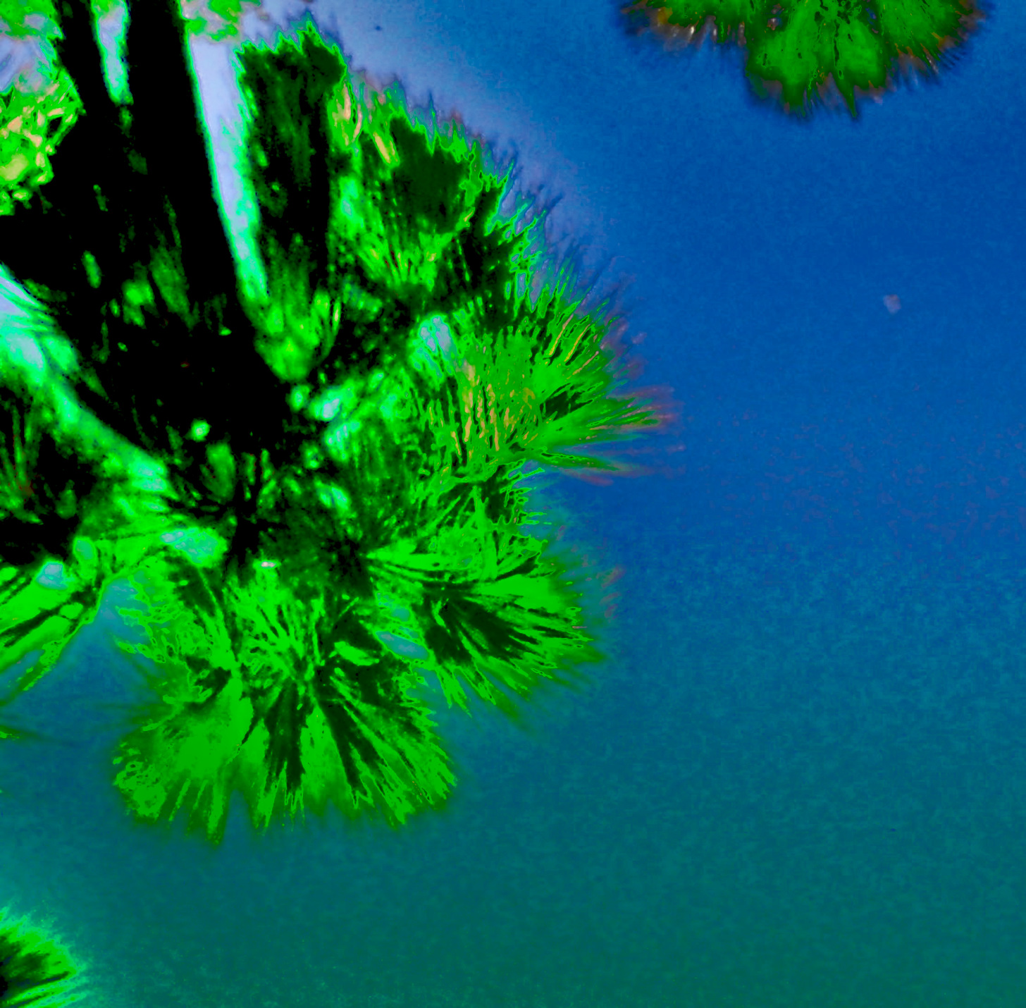 What Level Are U At Now?